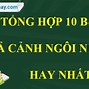 Bài Văn Tả Ngôi Nhà Ngắn Nhất Bằng Tiếng Anh