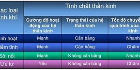 Các Loại Khí Chất Con Người