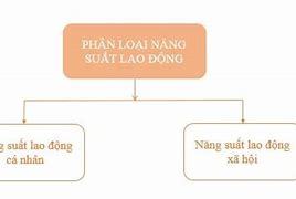 Năng Suất Lao Động Cá Biệt Là Gì