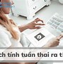 Thai Nhi 28 Tuần Là Mấy Tháng