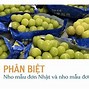 Vnvc Đồng Thâp Giá Bao Nhiêu Tiền 1Kg